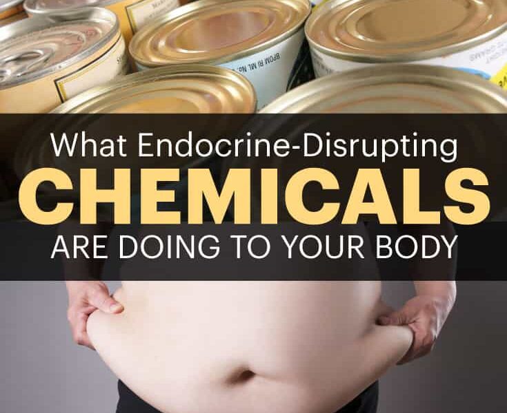 How Endocrine Disruptors Destroy Your Body + The Dirty Dozen to Avoid