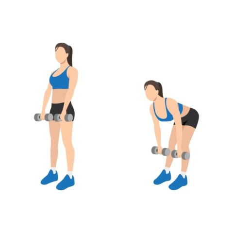 %Latest Fitness & Training Equipment Online%NuroPerformance